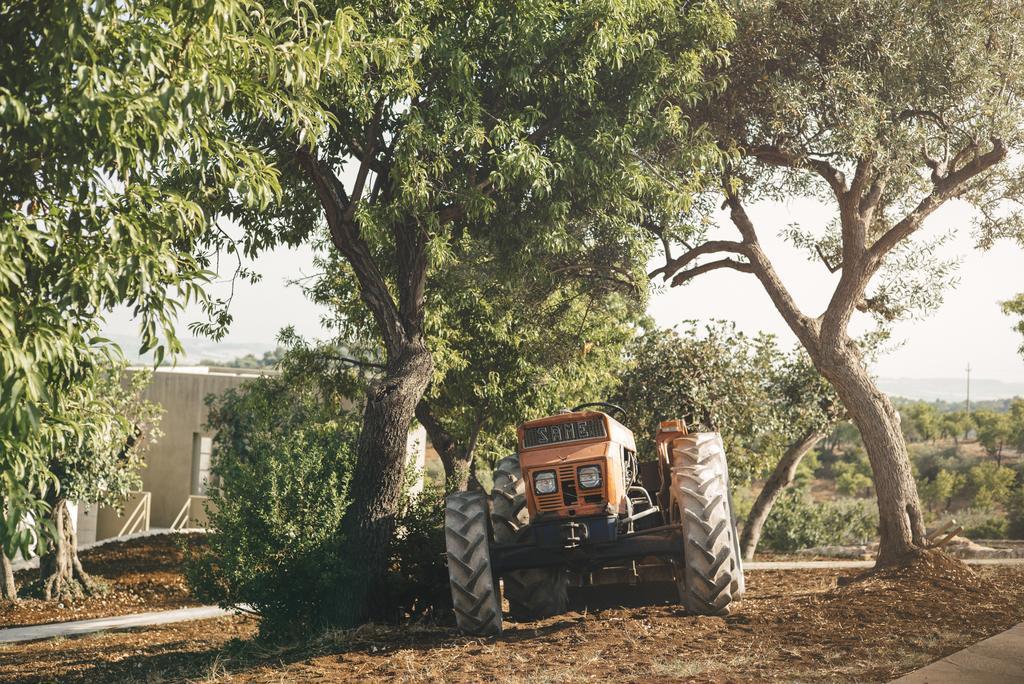 Country House Villadorata Νότο Εξωτερικό φωτογραφία