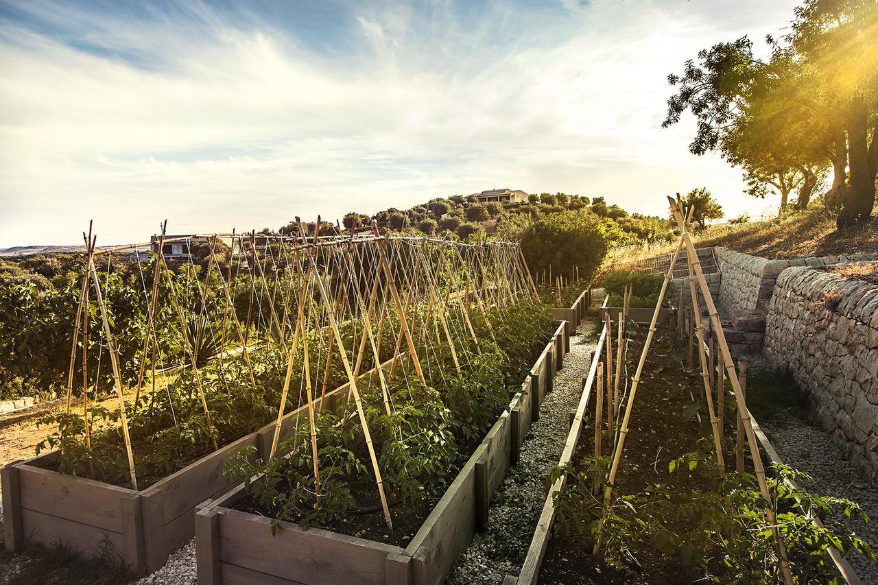 Country House Villadorata Νότο Εξωτερικό φωτογραφία