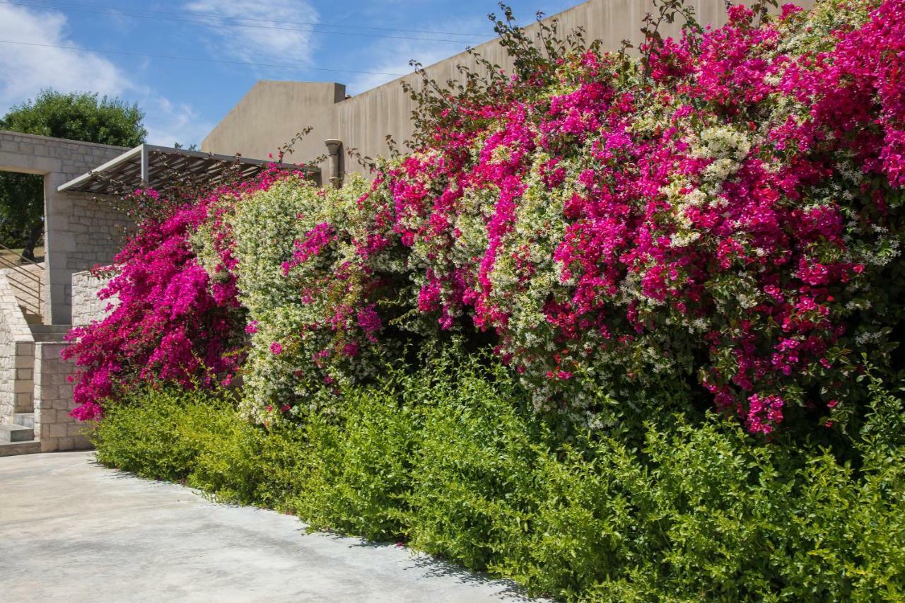 Country House Villadorata Νότο Εξωτερικό φωτογραφία
